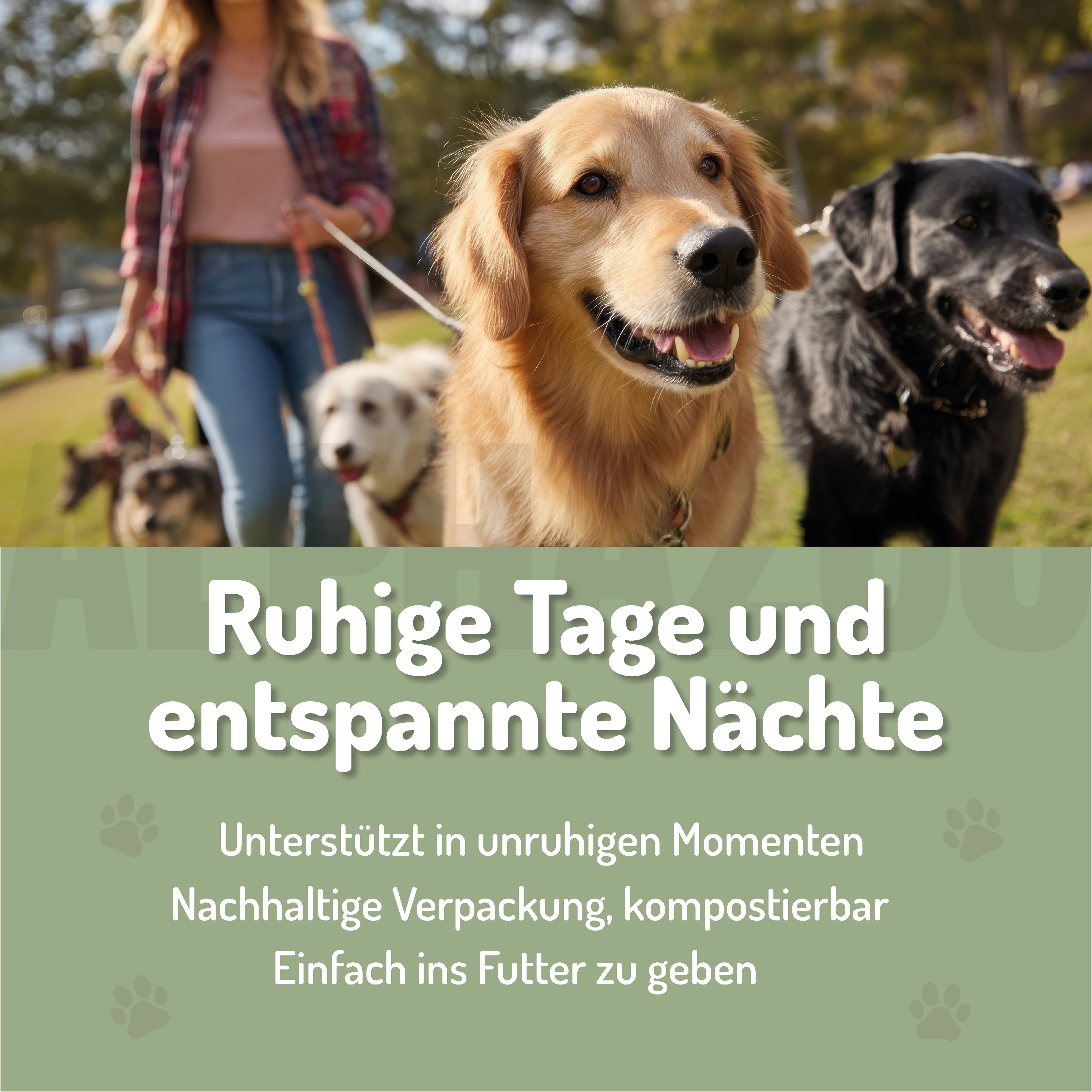 Seelenruhe Beruhigungs-Tabletten für Hunde – mit Baldrian & Melisse