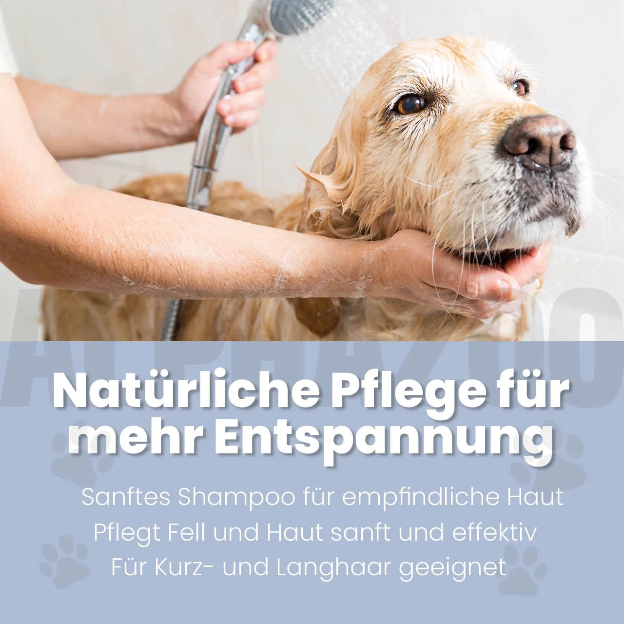 Sensibelchen Shampoo für Hunde – mit Aloe Vera, parabenfrei & silikonfrei