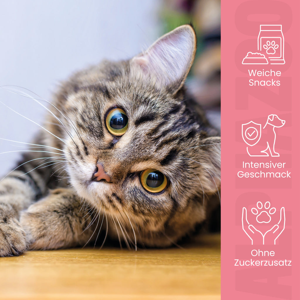 Verlachst Nochmal – Softsnack für Katzen, Lachs & Huhn, getreidefrei