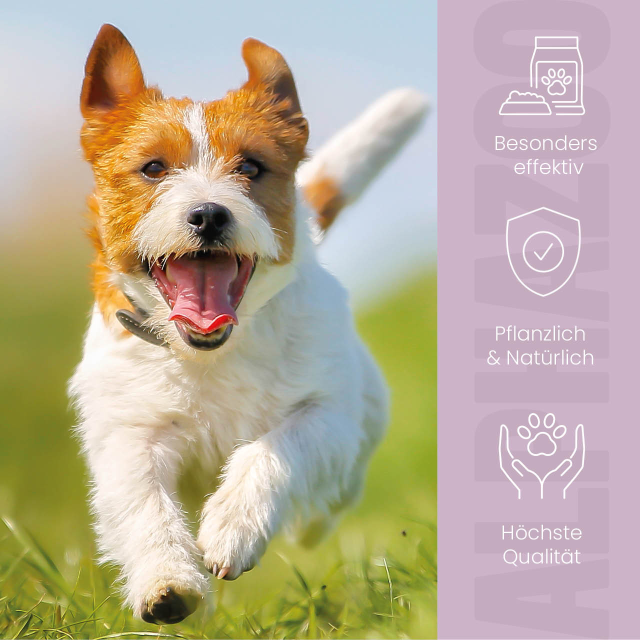 ZeckAttack Zeckenspray für Hunde – pflanzlich mit Geraniol, Lavendel & Eukalyptus